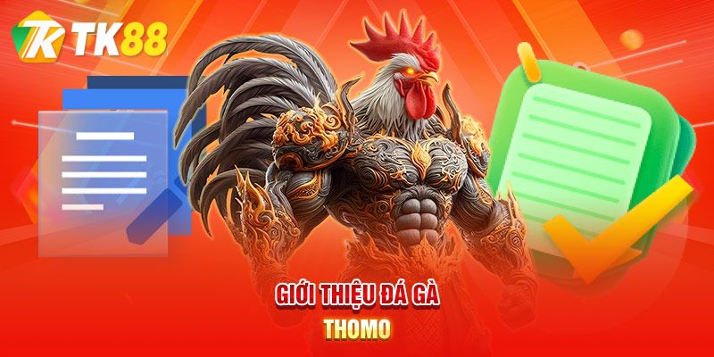 Giới thiệu về đá gà thomo