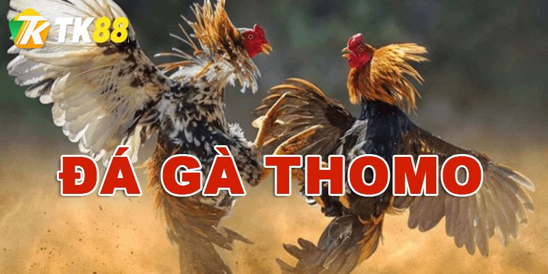 Ưu điểm trò chơi đá gà thomo