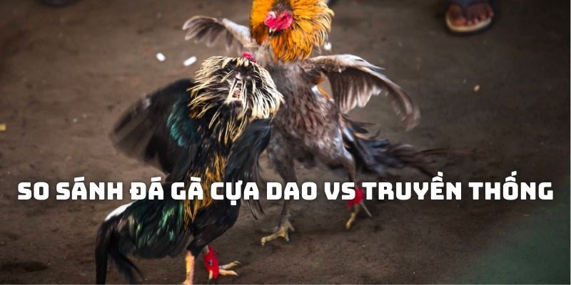 So sánh giữa đá gà cựa dao với kiểu chọi truyền thống